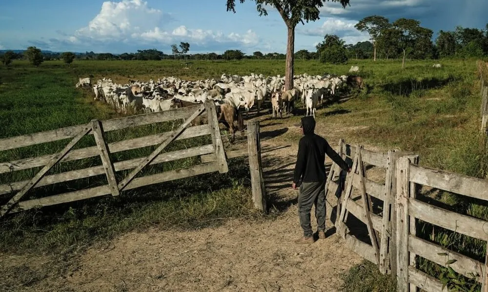 No AC e RO, CV grila fazendas para estocar drogas e lavar dinheiro, aponta relatório na COP30