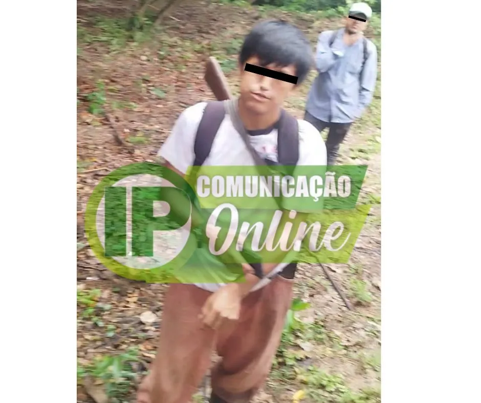 Por conta da produção da castanha, brasileiros estão sendo expulsos de suas propriedades na região de fronteira por bolivianos armados