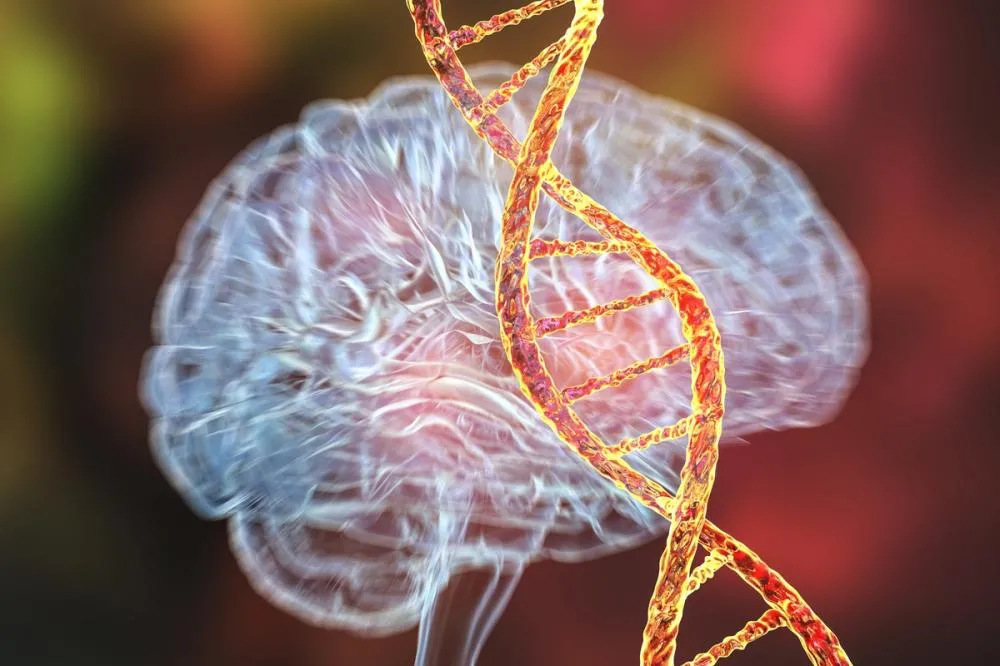 DNA “lixo” pode ter papel no desenvolvimento do Alzheimer, diz estudo