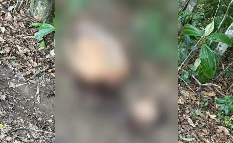 Ordem para morte e decapitação de indígena em Envira (AM) teria origem no Acre