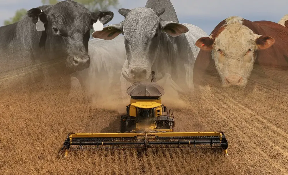 Dia do Agronegócio: agricultura tropical se destaca como solução climática global