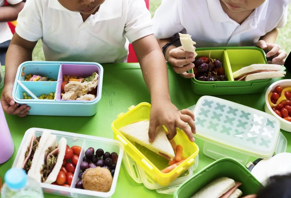 Alimentação equilibrada nos lanches contribui para aprendizado e bem-estar no período escolar
