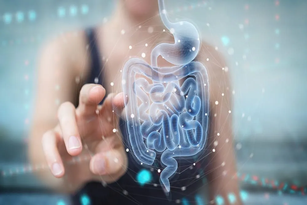 Câncer de intestino: o que é e como identificar os primeiros sintomas