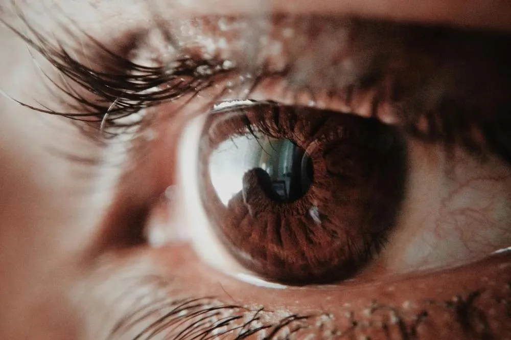 Visão: o que vemos e o que não conseguimos ver nos diz muito sobre a consciência humana