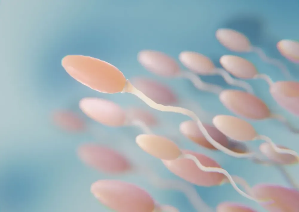 Além da fertilidade: espermograma pode sinalizar riscos à saúde