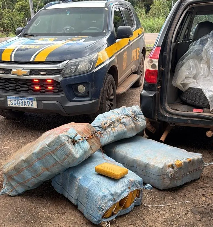 Polícia Civil e PRF apreendem mais de 230 kg de skunk durante operação na BR-364