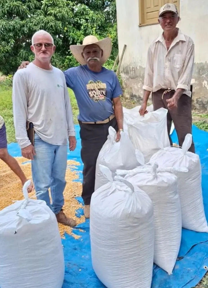 Prefeitura de Plácido de Castro conclui colheita de milho e fortalece produção agrícola no município