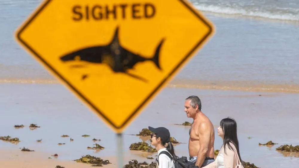 Ataque de tubarão mata homem na Grande Barreira de Corais da Austrália