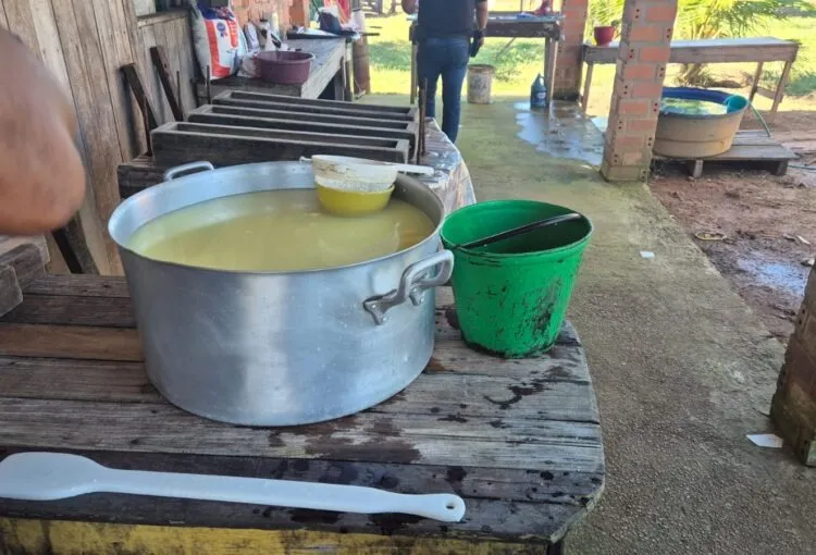 Polícia Civil fecha laticínio clandestino na zona rural de Senador Guiomard; proprietário foi preso em flagrante