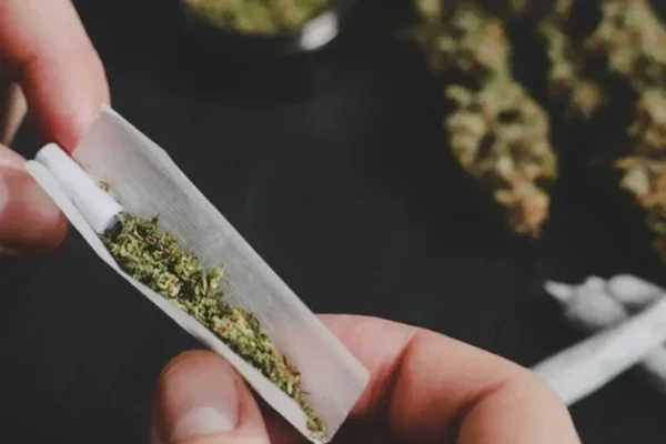 Entenda se você está mais propenso a usar maconha | Crédito: Reprodução