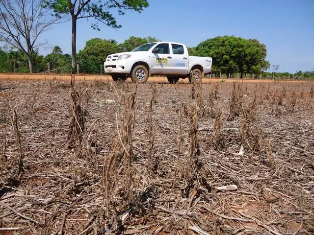 Foto: Reprodução/G1
