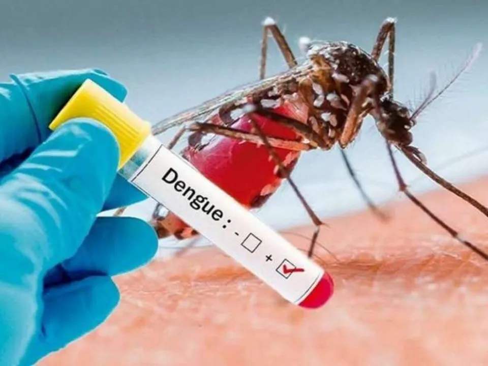 Foram registrados 1.171 casos prováveis de dengue, sendo 689 confirmados/Foto: Reprodução