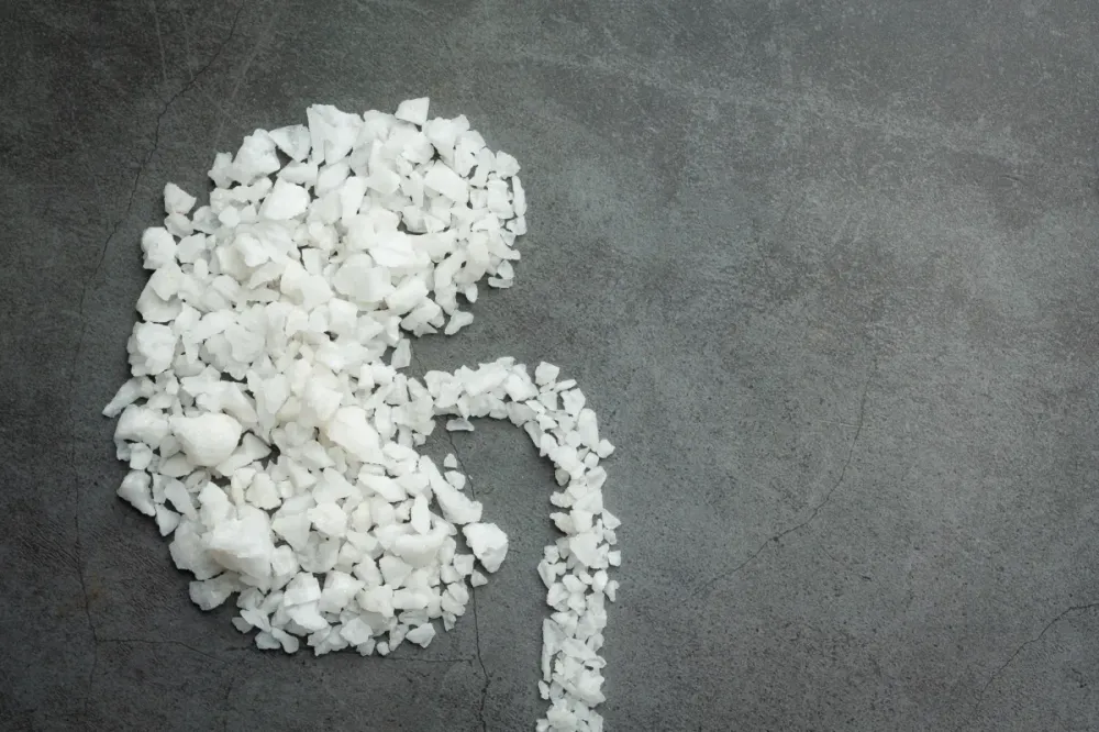 salt in shape of kidney on dark floor • Magnific