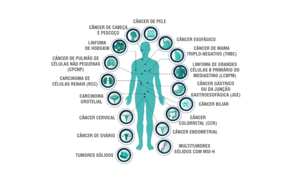 Tipos de tratamentos com a medicação • Reprodução/MDS Saúde