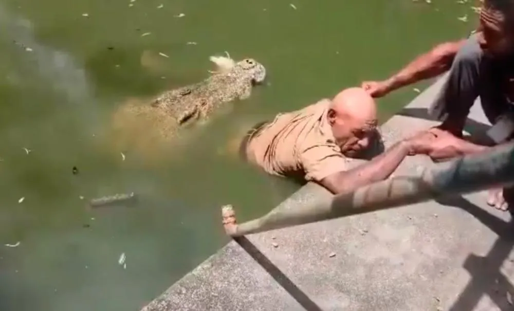 Tratador foi atacado enquanto alimentava crocodilos em Papua Nova Guiné e não resistiu | Reprodução/ X @mapkpets (5/9/2026)