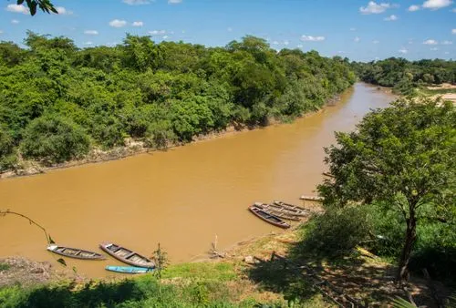 Foto: Reprodução/Google Imagens