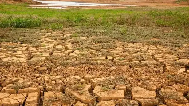 Foto: Reprodução.